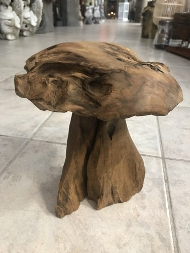 Teak wurzelholz pilz holz - pilz,