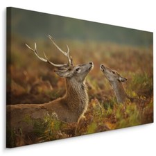 CANVAS Leinwand Bilder XXL