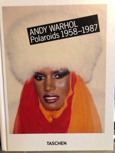 Andy warhol polaroids - andy,