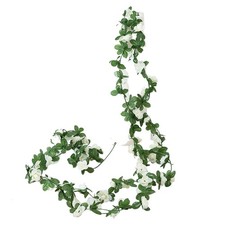 Simulation Rosenranke für