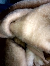 Wolldecke Neu In OVP Beige