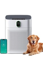 Luftreiniger für Allergiker