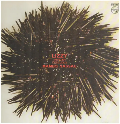 Lizzy mercier descloux - lizzy,