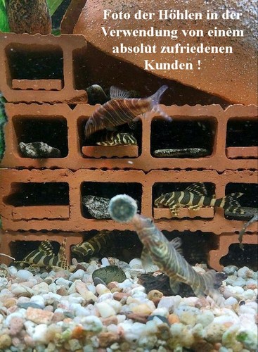 5er höhle gratis - höhle, +