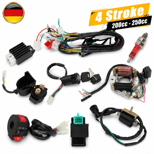 Elektrik kabelbaum 110cc - kabelbaum,