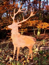 Edelrost Hirsch, Reh, Tier