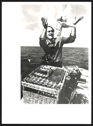 Fotografie fotograf hans - fotograf,