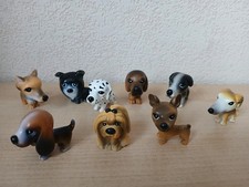 SIMBA DOGZ Hunde