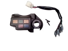 Instrumentenanzeigelampen