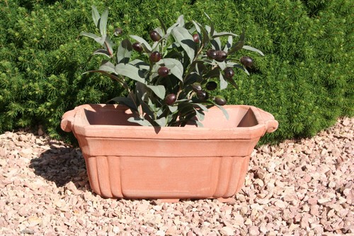 Terracotta tontopf terrakotta - terracotta,