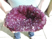 TOP - sehr große und schöne