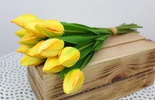 12 Tulpen gelb 35 cm