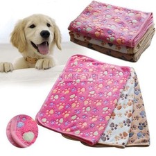 Haustiere Hunde Katze