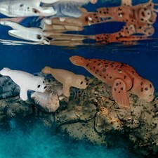 PLAYMOBIL 9069 ROBBE MIT