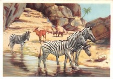 717405) AK Carl Hagenbecks