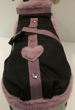 Wintermantel Chihuahua Plüsch