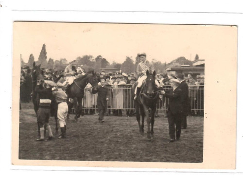 16251 foto pferderennen - ak,
