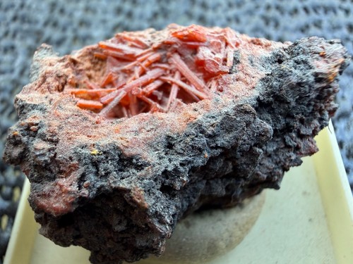 Krokoit crocoite dundas - /,