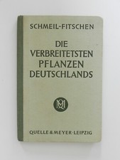 Die verbreitetsten Pflanzen