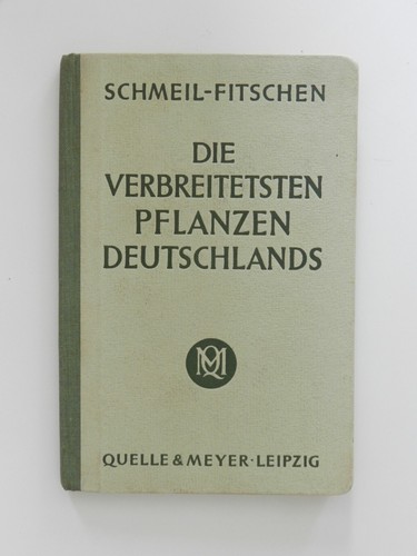 Die verbreitetsten pflanzen - die,