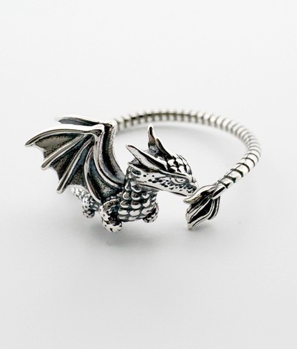 Fliegender drache - fliegender,