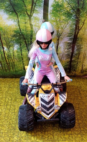 Biker barbie mit quad - barbie's,