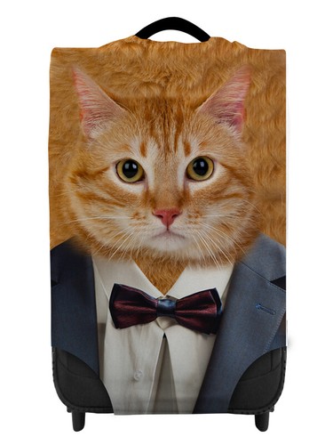 Ingwer katze anzug - ingwer, im