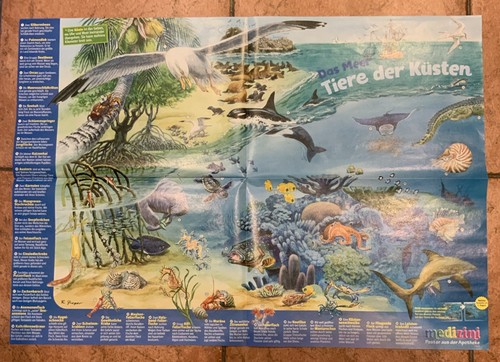 Medizini wissensposter das - wissensposter,,