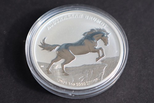 Australien brumby 2021 perth - brumby,
