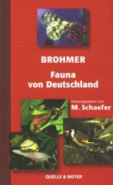 Fauna von deutschland - fauna,