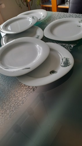 Rosenthal suomi - rosenthal""", suomi""