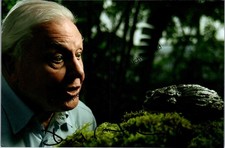 Original Autogramm David Attenborough (*1926) /// Autograph signiert sign 310970