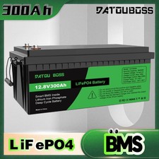 12V 300Ah Lithium Batterie LiFePO4 Akku BMS 15000+ Zyklen Wohnmobil Solaranlage