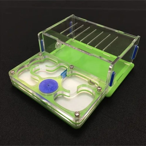 Ameisenfarm ant farm - ameisenfarm,