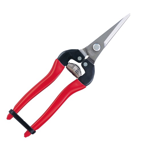 Ars obstschneider lang typ - ars,