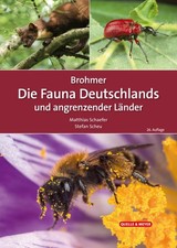 Stefan Scheu Ma Brohmer –