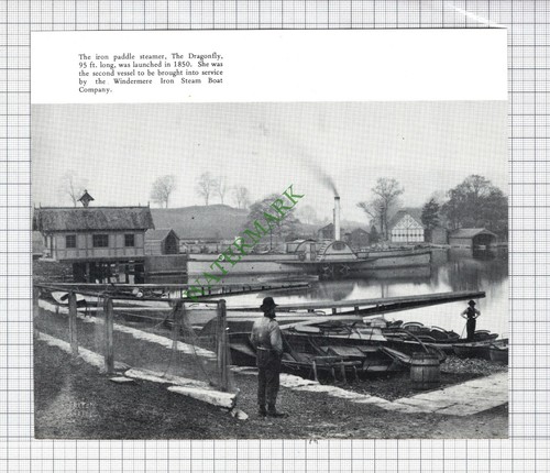The dragonfly paddle steamer - the,