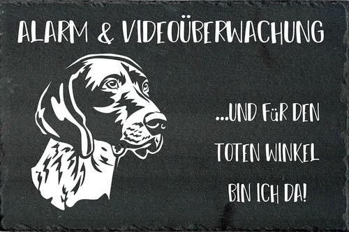 Deutsch kurzhaar - deutsch,