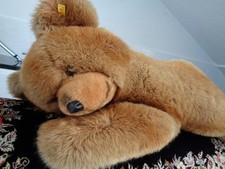 Großer STEIFF Teddy Bär