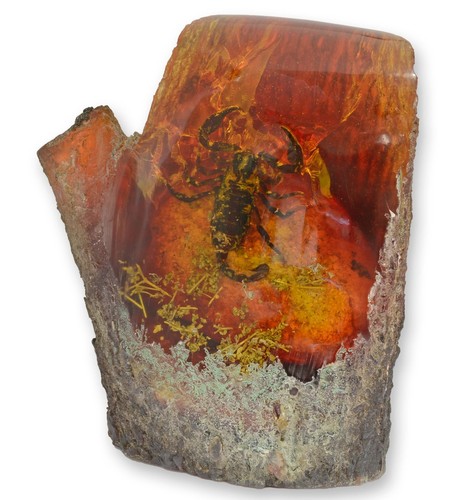 Künstliches bernstein fossil - künstliches, bernstein-fossil