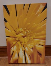 Gelbe Blume Fotoleinwand