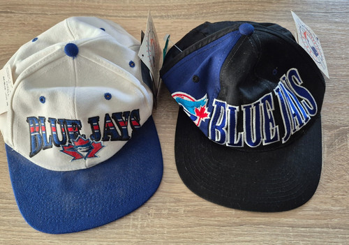 Vintage toronto blue - 2x,
