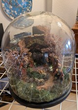 Krippe Weihnachtskrippe Glasdom