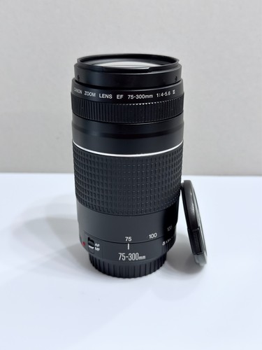 Canon 300 4 - ef, iii