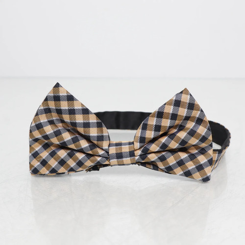Fliege herren gelb - fliege,, herren,