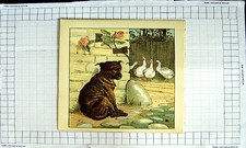 Original alter antiker Druck