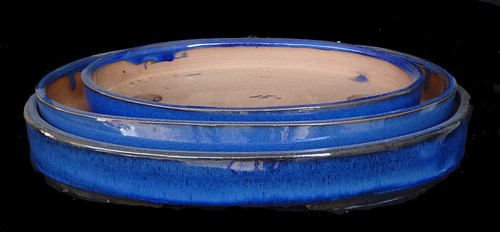 Bonsai bonsaischale blau - -,