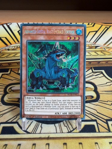 Yugioh entwickeltes - yugioh,