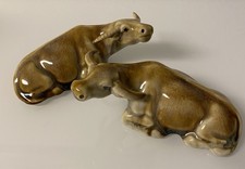 2 hübsche, sehr niedliche