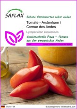 SAFLAX - Samen - Tomate - Andenhorn / Cornue des Andes - 10 Samen